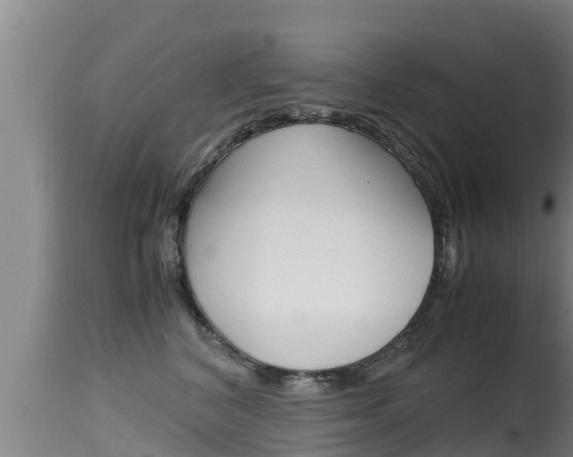 X0000115660616200911120944