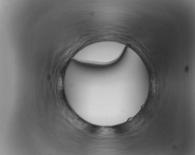 X0000115660617200911120944