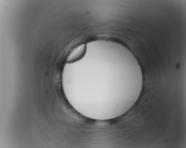 X0000115660619200911120944