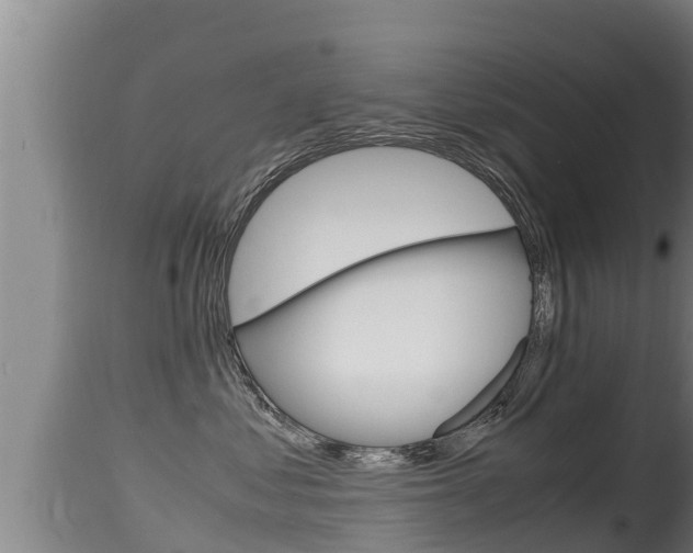 X0000115660621200911120944