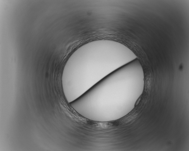 X0000115660623200911120944