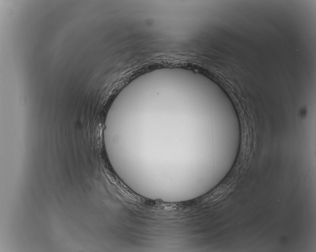 X0000115660624200911120944