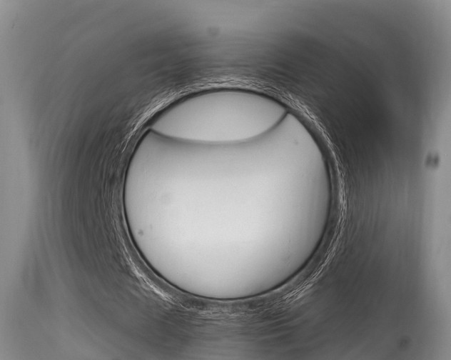 X0000115660625200911120944