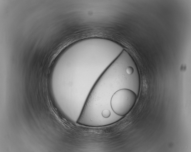 X0000115660626200911120944
