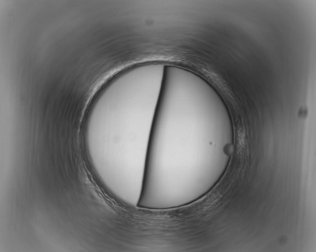 X0000115660628200911120944