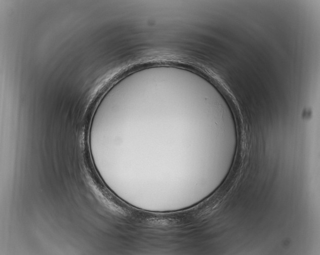 X0000115660629200911120944