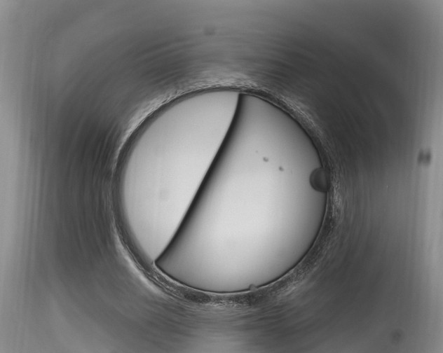 X0000115660630200911120944