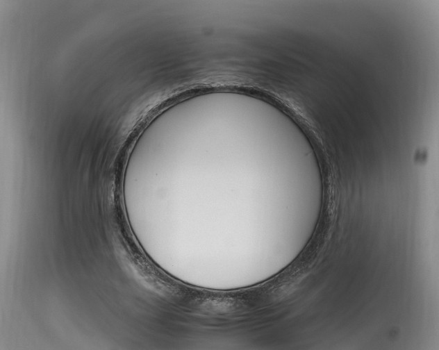X0000115660631200911120944