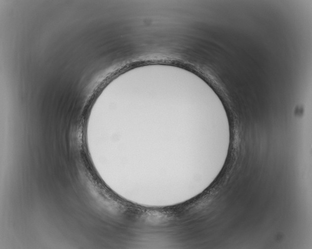 X0000115660632200911120944