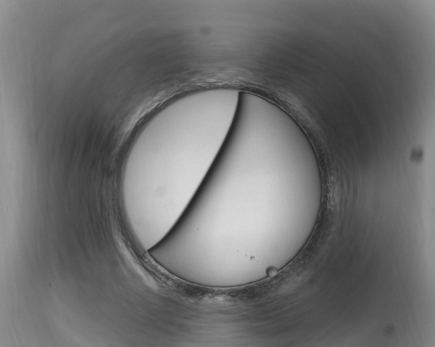 X0000115660634200911120944