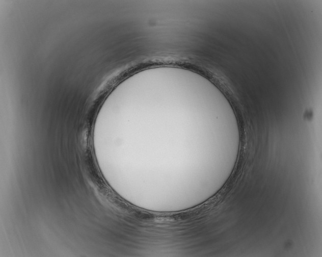 X0000115660636200911120944