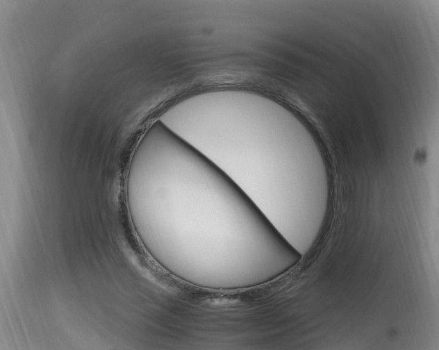X0000115660637200911120944