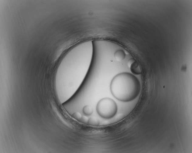 X0000115660638200911120944