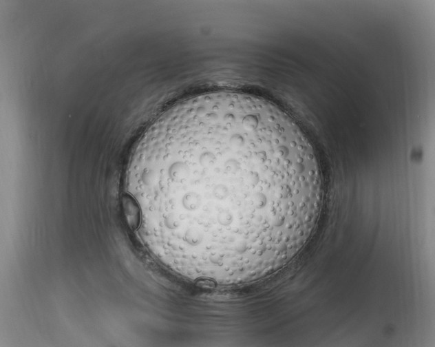 X0000115660639200911120944