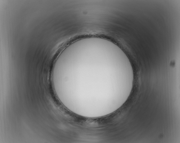 X0000115660640200911120944