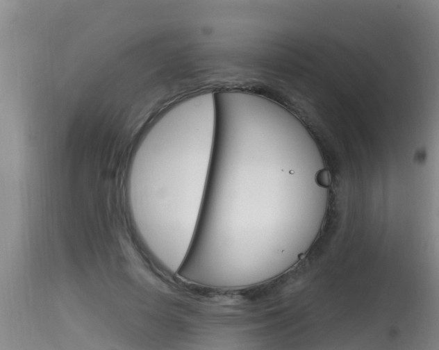 X0000115660642200911120944
