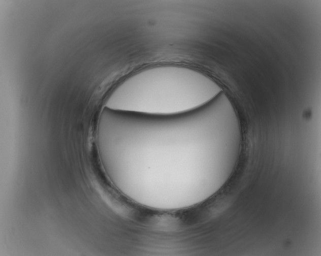 X0000115660644200911120944