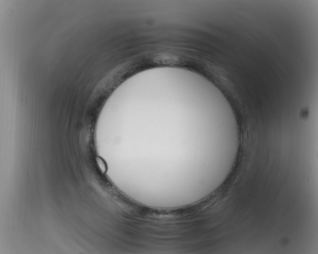 X0000115660645200911120944