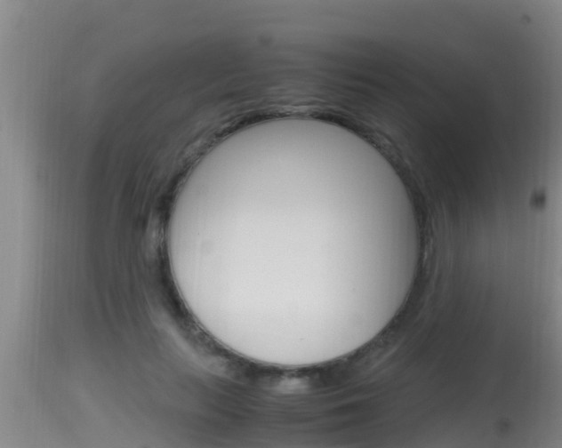 X0000115660647200911120944