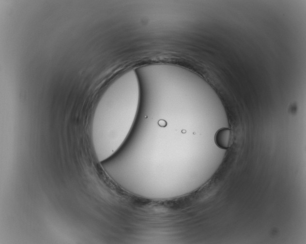 X0000115660648200911120944