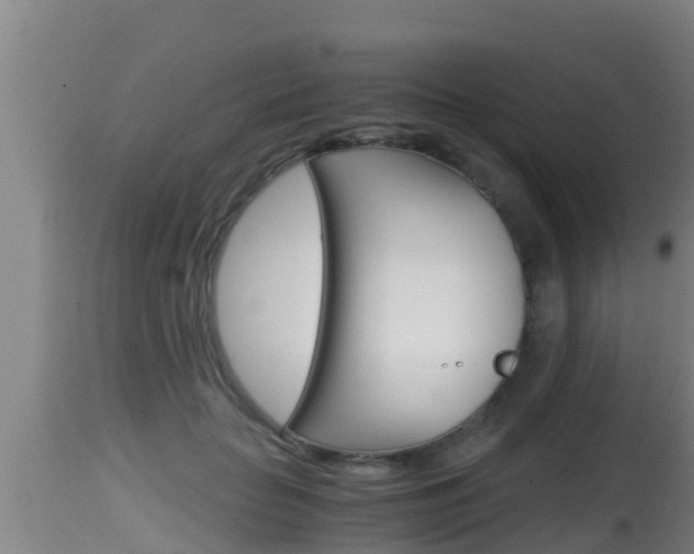 X0000115660653200911120944