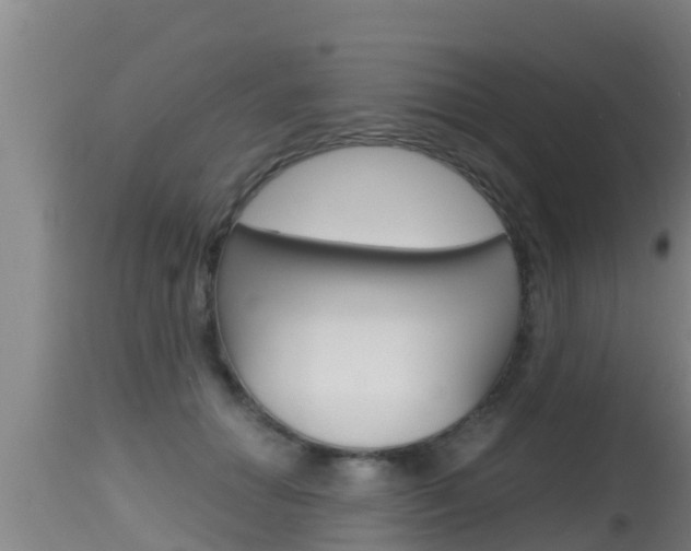 X0000115660654200911120944