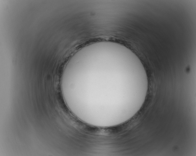 X0000115660656200911120944