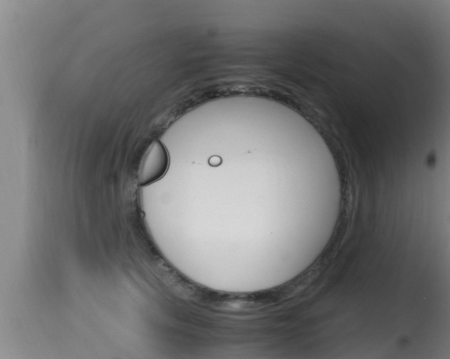 X0000115660657200911120944