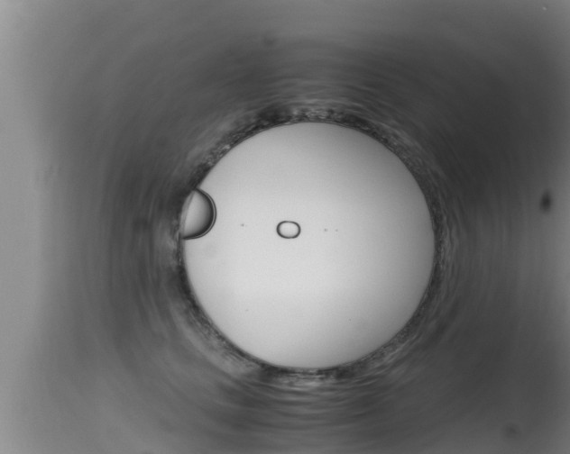 X0000115660661200911120944