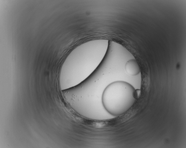 X0000115660662200911120944