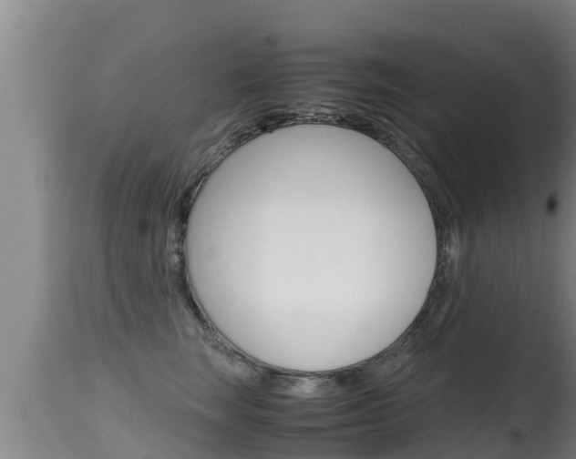 X0000115660663200911120944