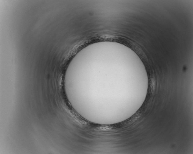 X0000115660668200911120944