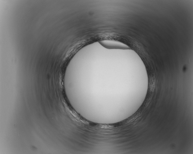 X0000115660670200911120944