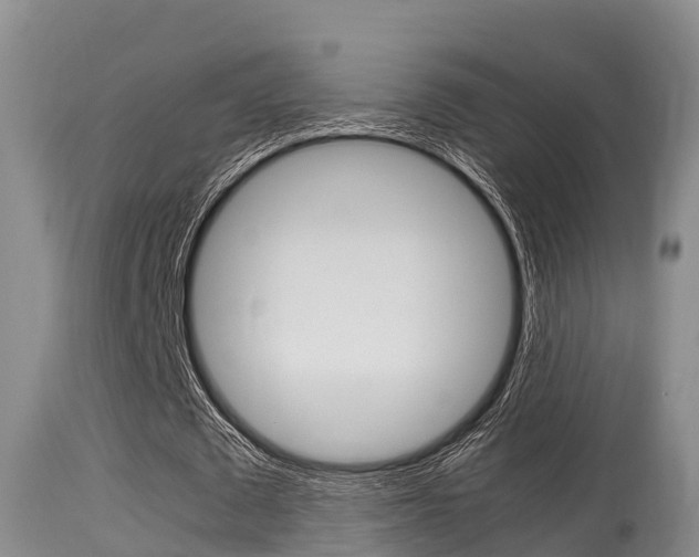 X0000115660673200911120943