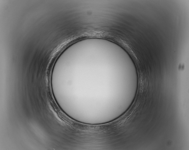 X0000115660674200911120943