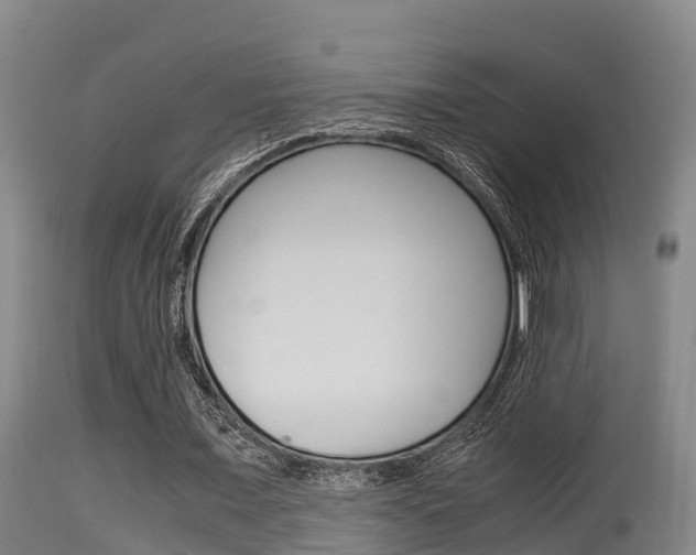 X0000115660675200911120943