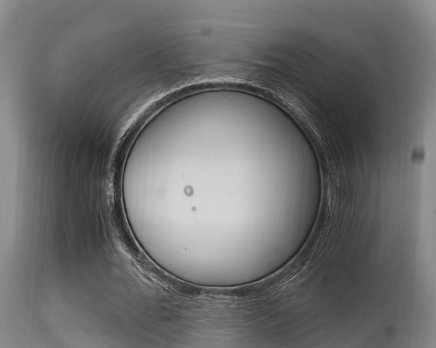 X0000115660676200911120943