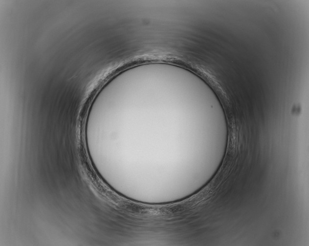 X0000115660678200911120943