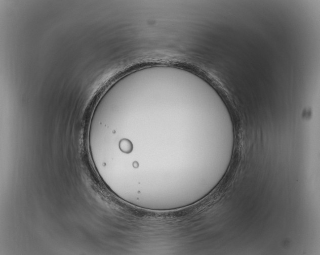 X0000115660679200911120943