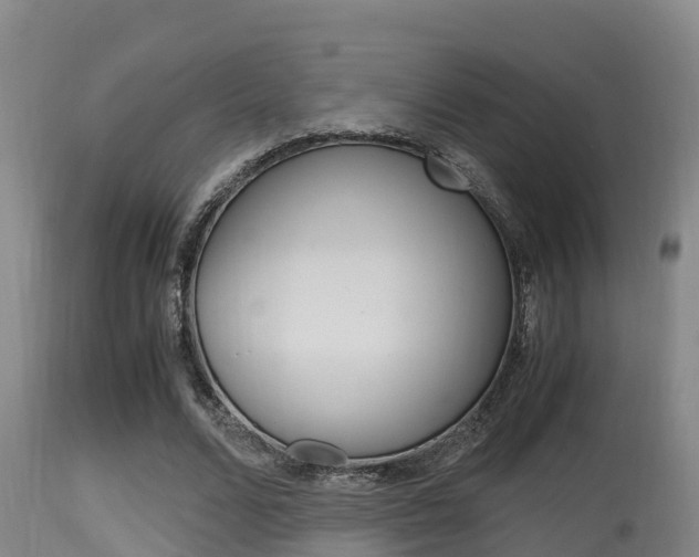 X0000115660680200911120943