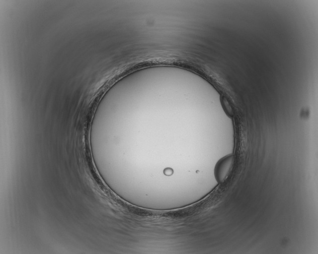 X0000115660681200911120943