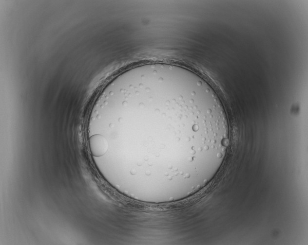 X0000115660682200911120943