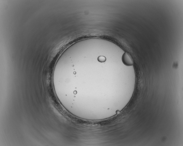 X0000115660683200911120943