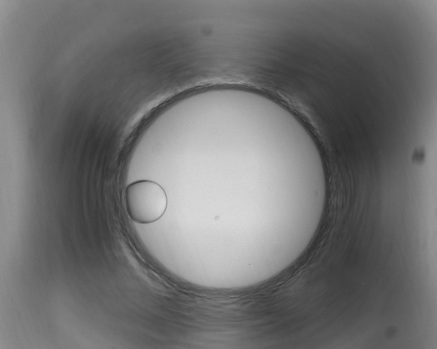 X0000115660684200911120943