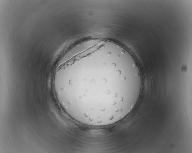 X0000115660686200911120943