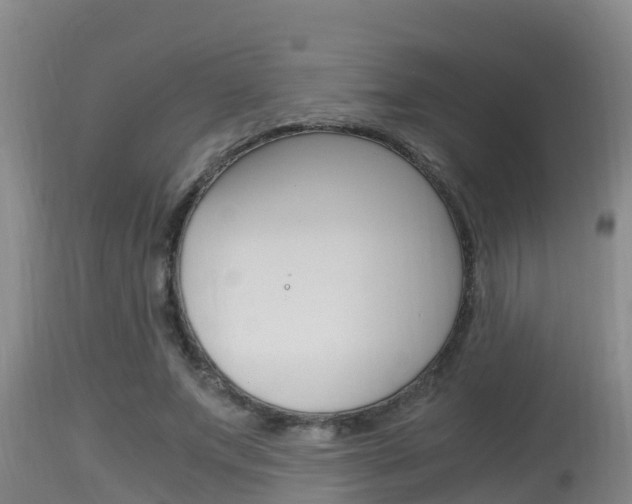 X0000115660687200911120943