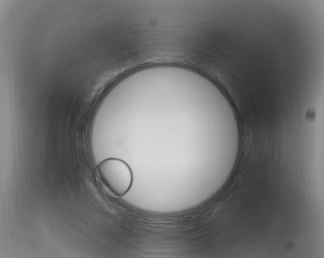 X0000115660688200911120943