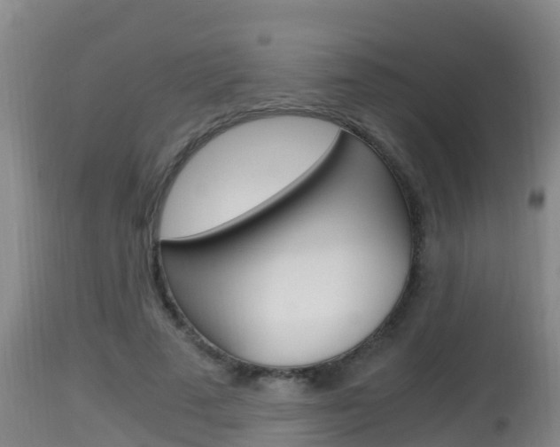 X0000115660689200911120943