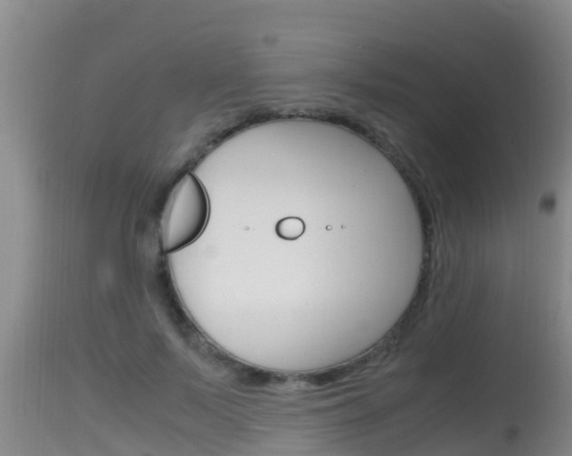 X0000115660695200911120943