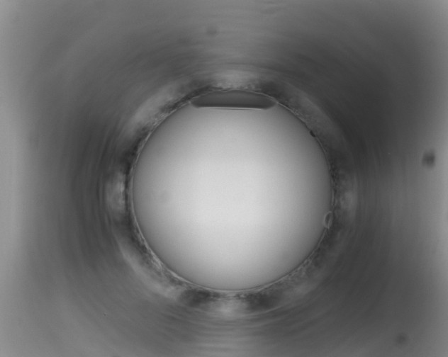 X0000115660696200911120943